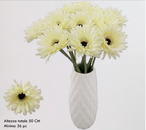 Gerbera bianca