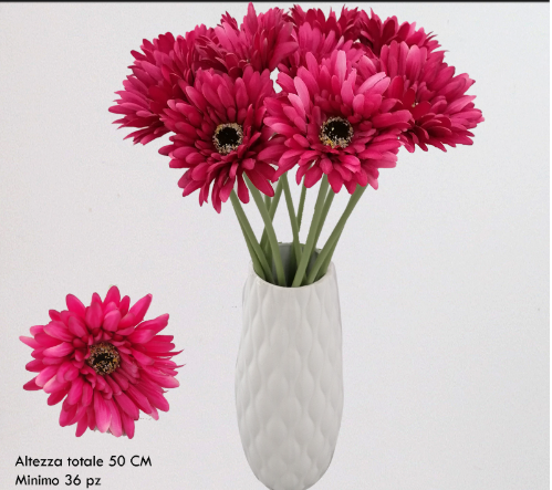 Gerbera magenta